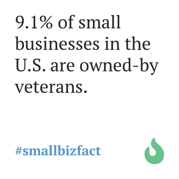 9.1% of U.S. businesses are veteran-owned