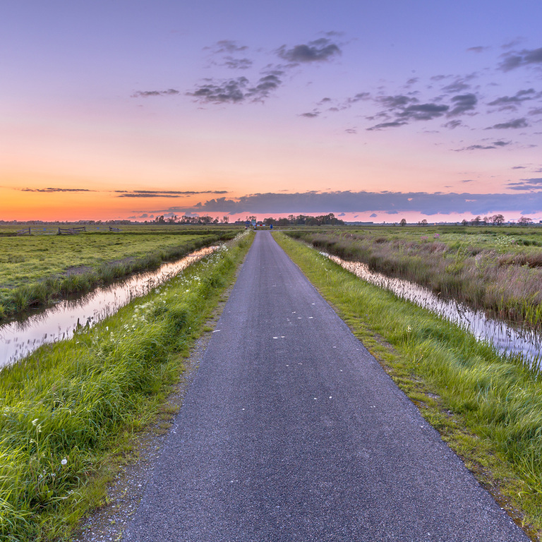 A road between two deep ditches, representing the tension between passive drift and restless striving.