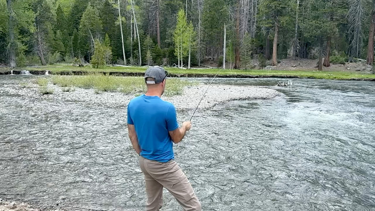 A man fishing in a mountain river, surrounded by silence and natural beauty.